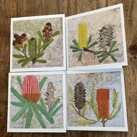 Banksias, set of 4 cards