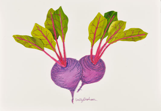 2 Purple Beetroot