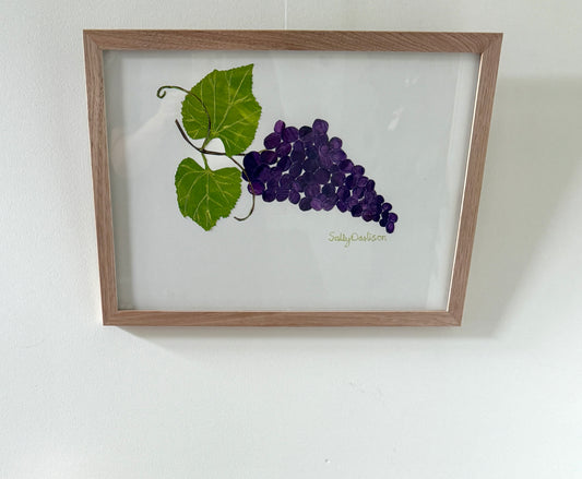 Grapes -framed