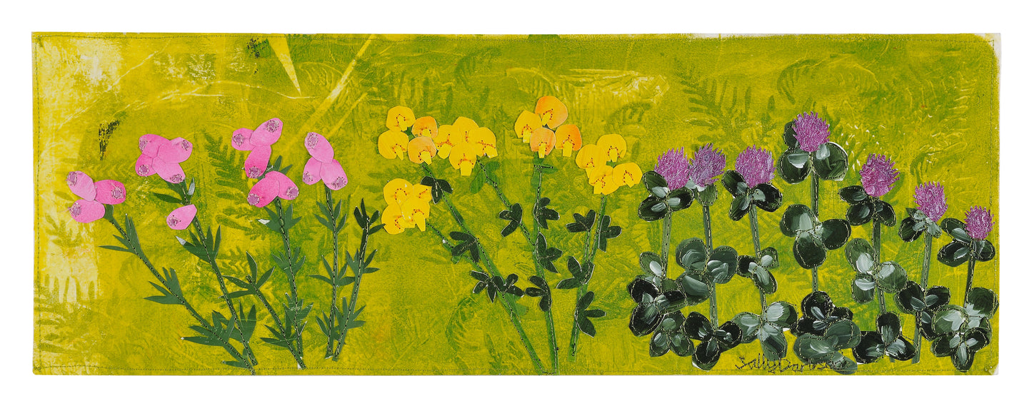 Scottish wildflowers 1- framed