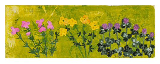 Scottish wildflowers 1- framed