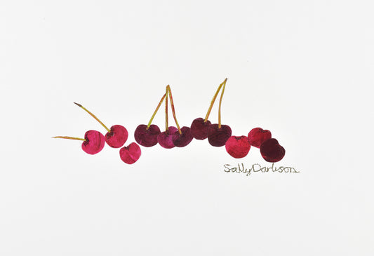 Cherries 2